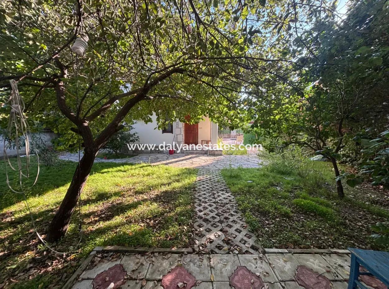 Sweet Garden House In Gulpinar