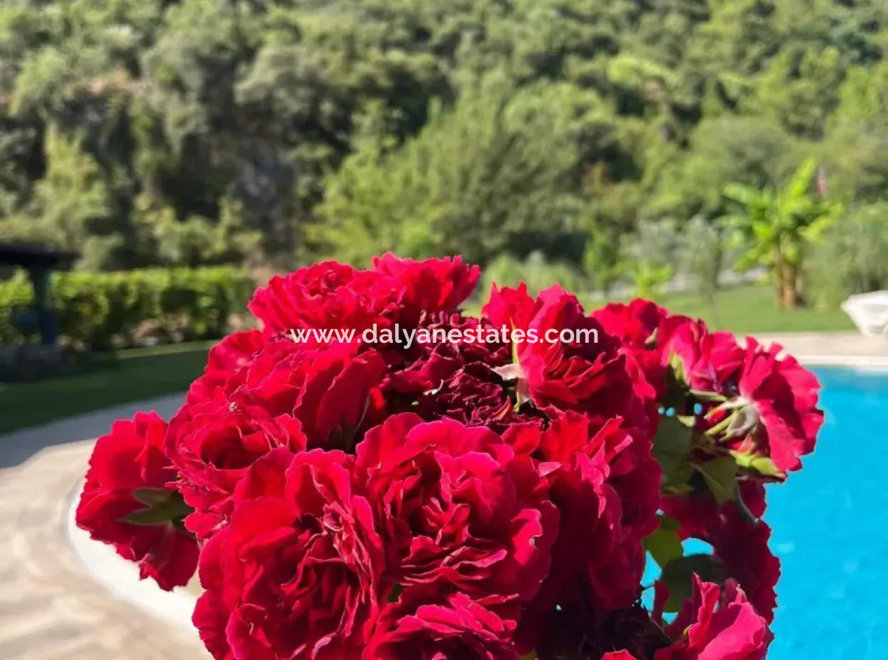 Villa For Sale İn Dalyan Okçular