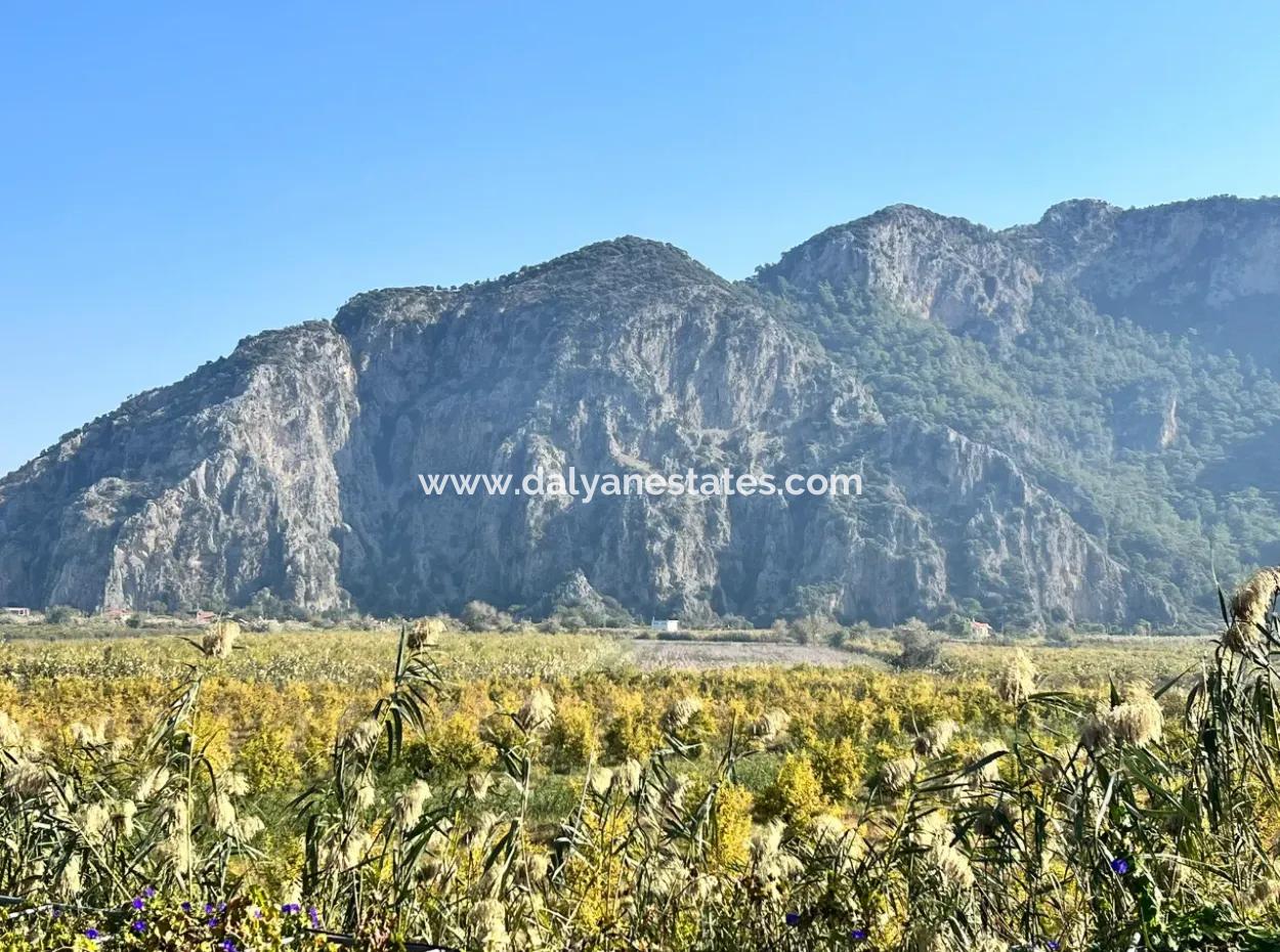 Pomegranate Garden For Sale In Dalyan