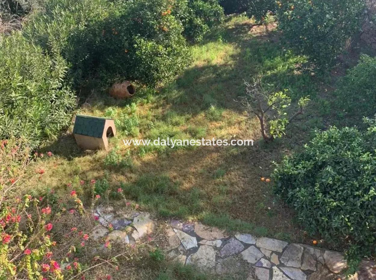 Project In Karadag Village