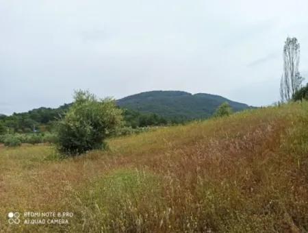 Land For Sale In Dalyan Gökbel