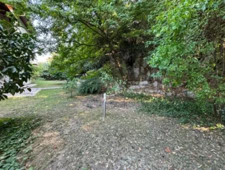 Villa For Sale İn Dalyan