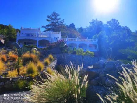Palace In The Mountains