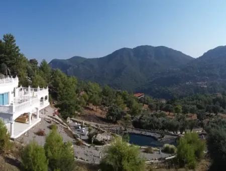 Palace In The Mountains