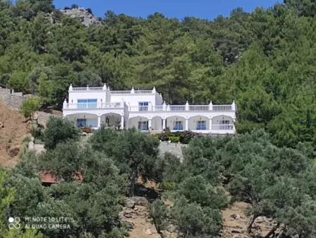 Palace In The Mountains