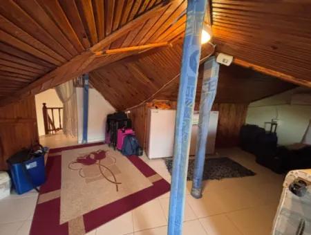 Homely Complex Villa Close To Town