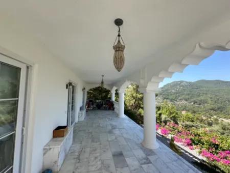 Palace In The Mountains