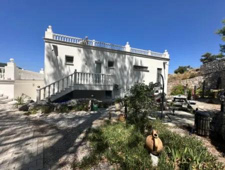 Palace In The Mountains