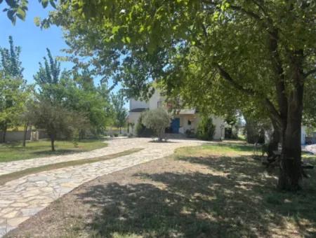 Unique Villa On Large Land