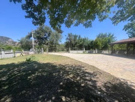 Unique Villa On Large Land