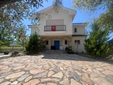 Unique Villa On Large Land