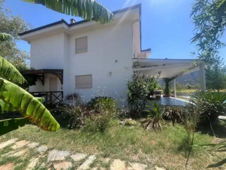 Unique Villa On Large Land