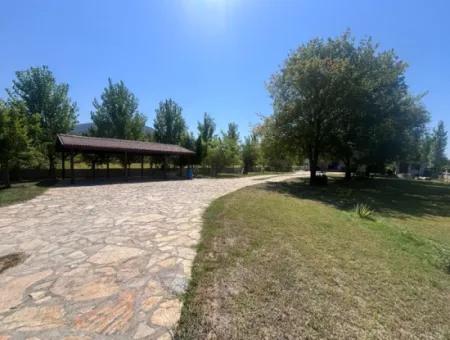 Unique Villa On Large Land