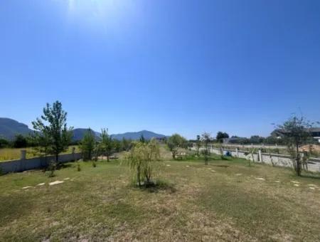 Unique Villa On Large Land