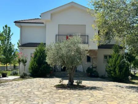 Unique Villa On Large Land