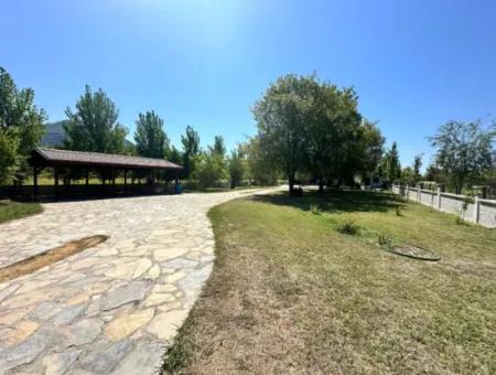Unique Villa On Large Land
