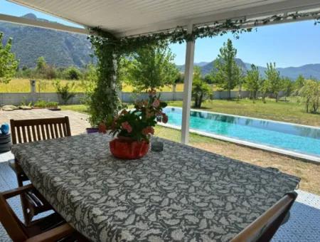 Unique Villa On Large Land