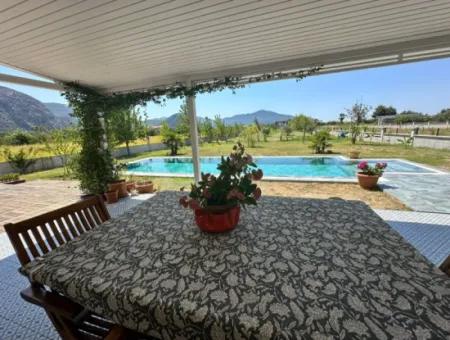 Unique Villa On Large Land