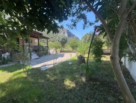 Triplex Villa Surrounded By Nature