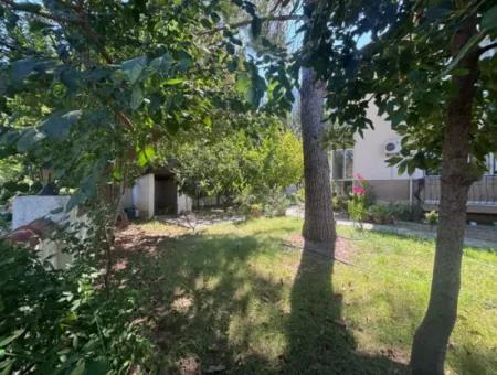 Triplex Villa Surrounded By Nature