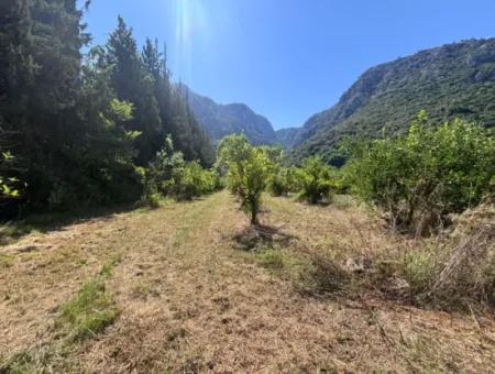 Triplex Villa Surrounded By Nature