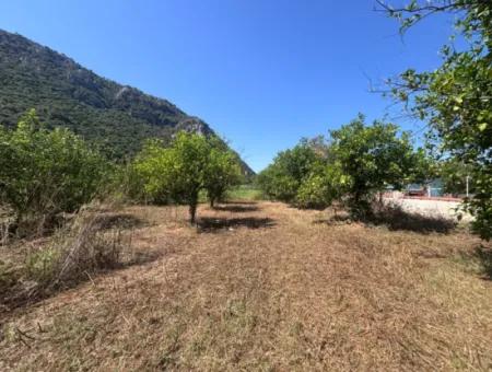 Triplex Villa Surrounded By Nature