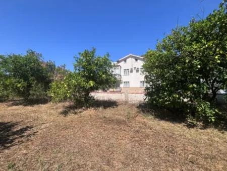 Triplex Villa Surrounded By Nature