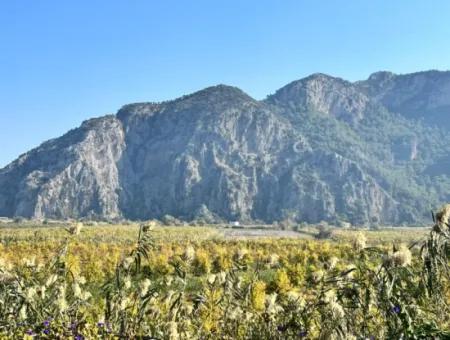 Pomegranate Garden For Sale In Dalyan