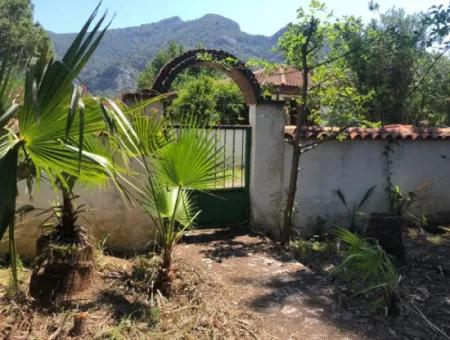 Traditional Cottage Project In Dalyan