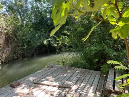 Private Villa By The Stream