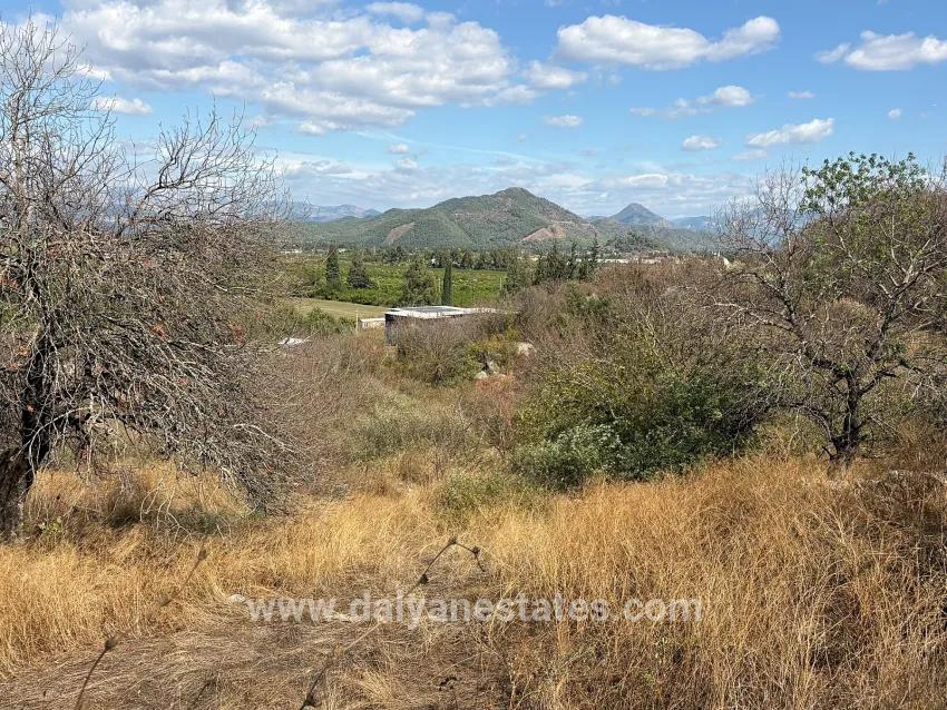 Для продажи Поле в Dalyan Ortaca - Под Поле застройку - 5.000 m²