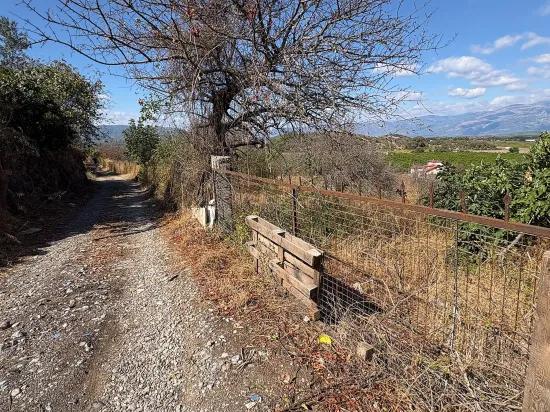 В Karadağ одна возможность, добавляющая ценность земле