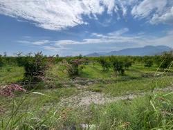 Для Продажи Поле в Dalyan Ortaca - Под Поле застройку - 14.000 m²