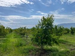 Для Продажи Поле в Dalyan Ortaca - Под Поле застройку - 14.000 m²