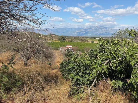 В Karadağ Одна Возможность, Добавляющая Ценность Земле