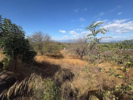 В Karadağ Одна Возможность, Добавляющая Ценность Земле