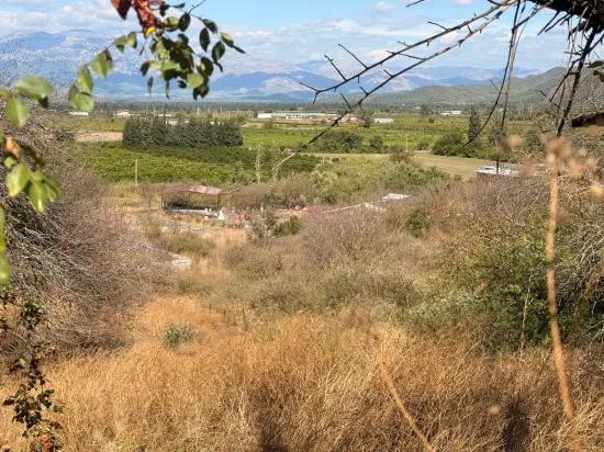 В Karadağ Одна Возможность, Добавляющая Ценность Земле