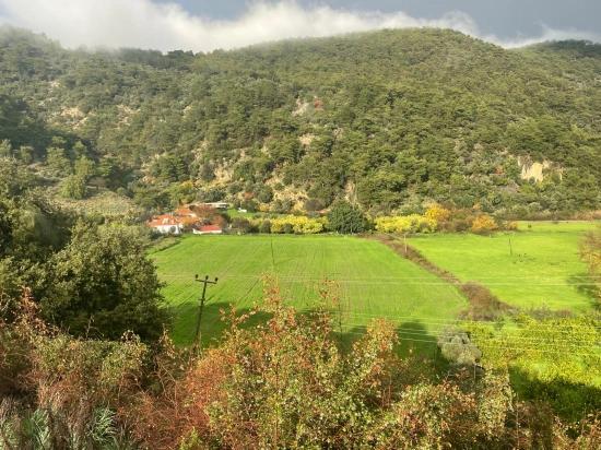 Dalyan In Karşısında Çandır Köyünde Satılık Çiftlik Arazisi