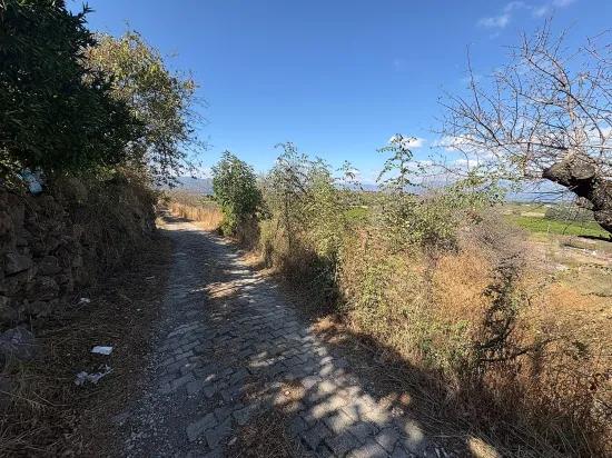 Karadağ’da Toprağa Değer Katan Bir Fırsat