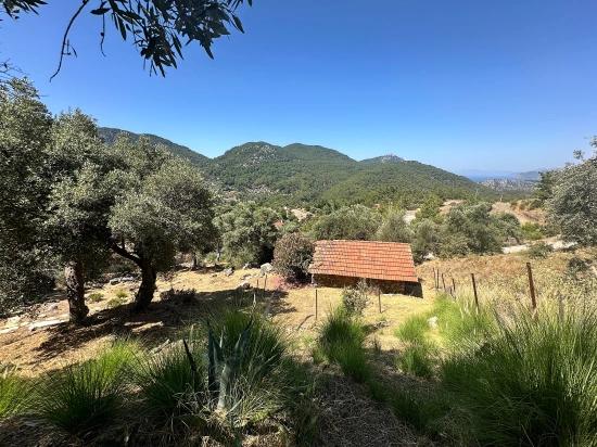 Gökbel’de Eşsiz Deniz Manzaralı 7 Odalı Lüks Malikâne – 5.000 M² Arsada Prestijli Bir Ya