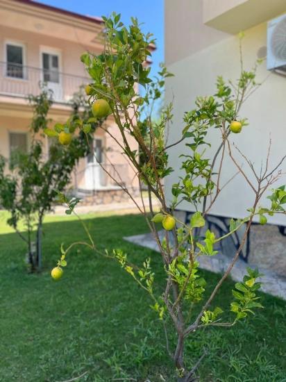 Dalyan Okçular Da Satılık Dubleks Villa