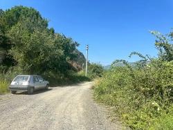 Marmarlı’da Zen Sığınağı – Dalyan’a Yakın Huzurlu İki Yatak Odalı Villa