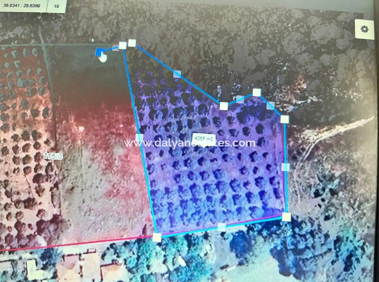 Dalyan Çandır Satılık Hisseli Tarla