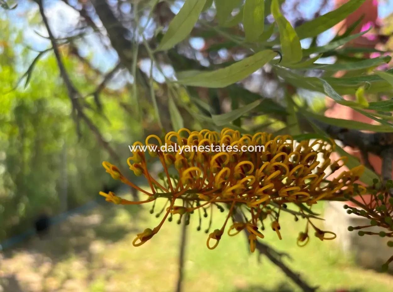 Dalyan Gülpınarda Göl Ve Dağ Manzaralı Satılık Çiftlik Evi
