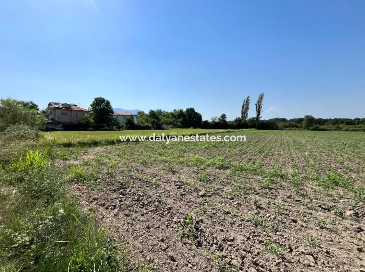 Dalyan Yatırıma Uygun Arsa