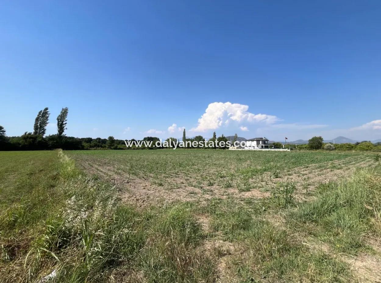 Dalyan Yatırıma Uygun Arsa