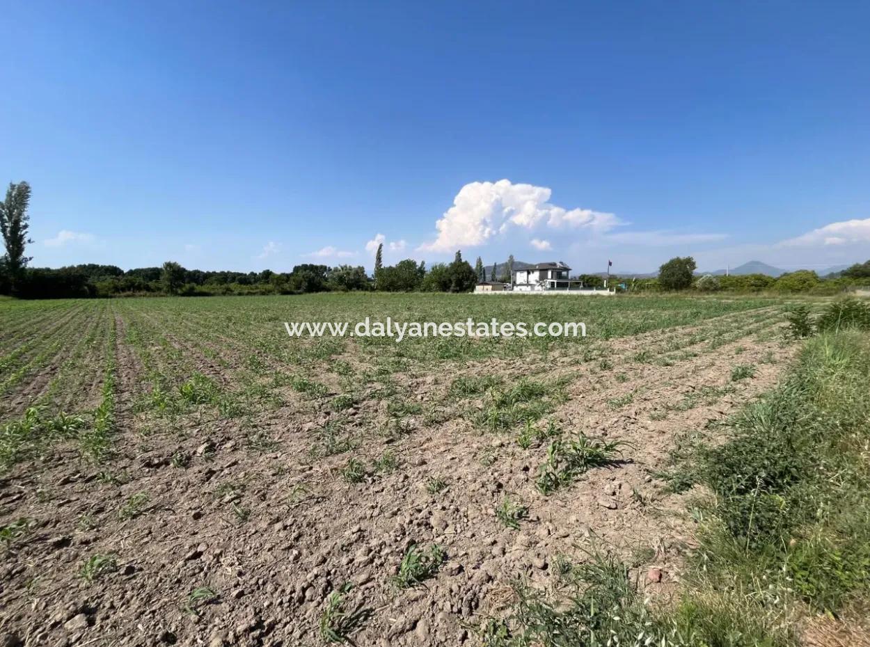 Dalyan Yatırıma Uygun Arsa