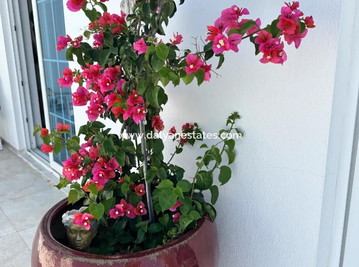 Dalyan Gökbel De Full İztuzu Plajı Ve Deniz Manzaralı Satılık Villa