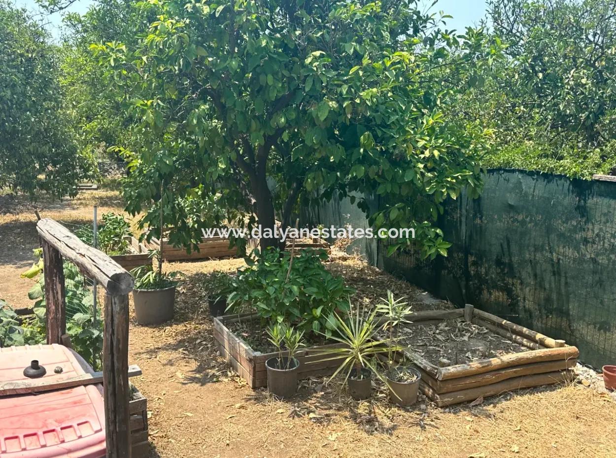 Okcular 3+2 Mustakıl Ev Ve Arsa