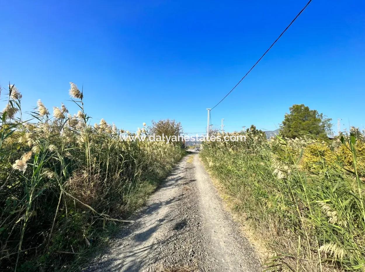 Dalyan Satılık  Nar Bahçesi